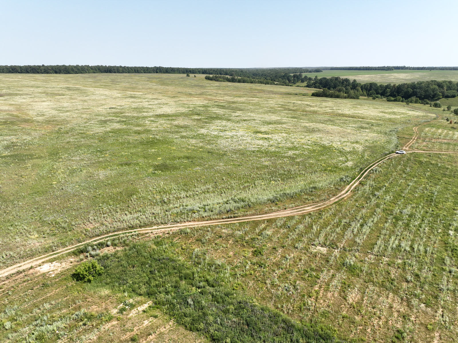 DJI_0940