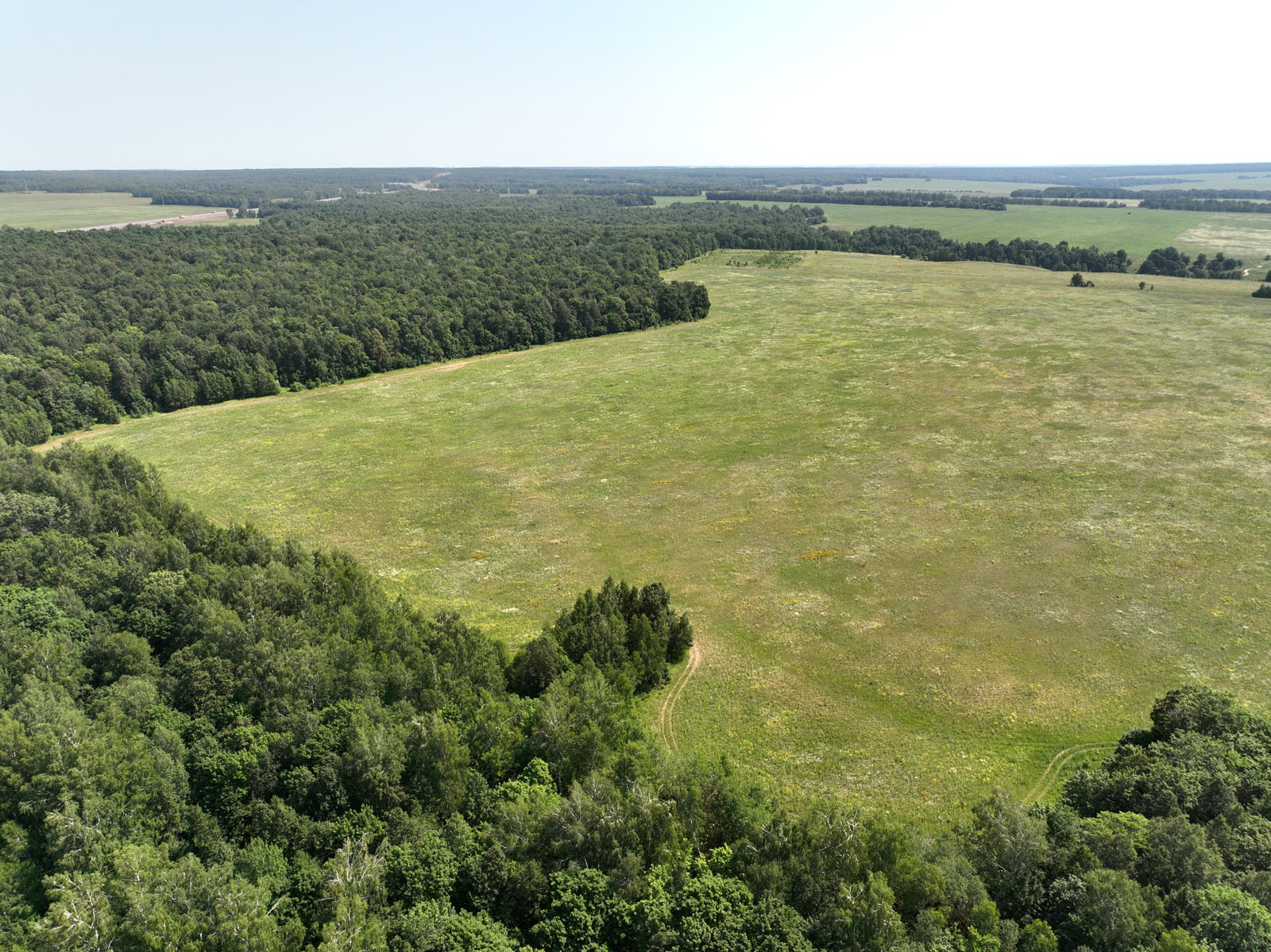 DJI_0945