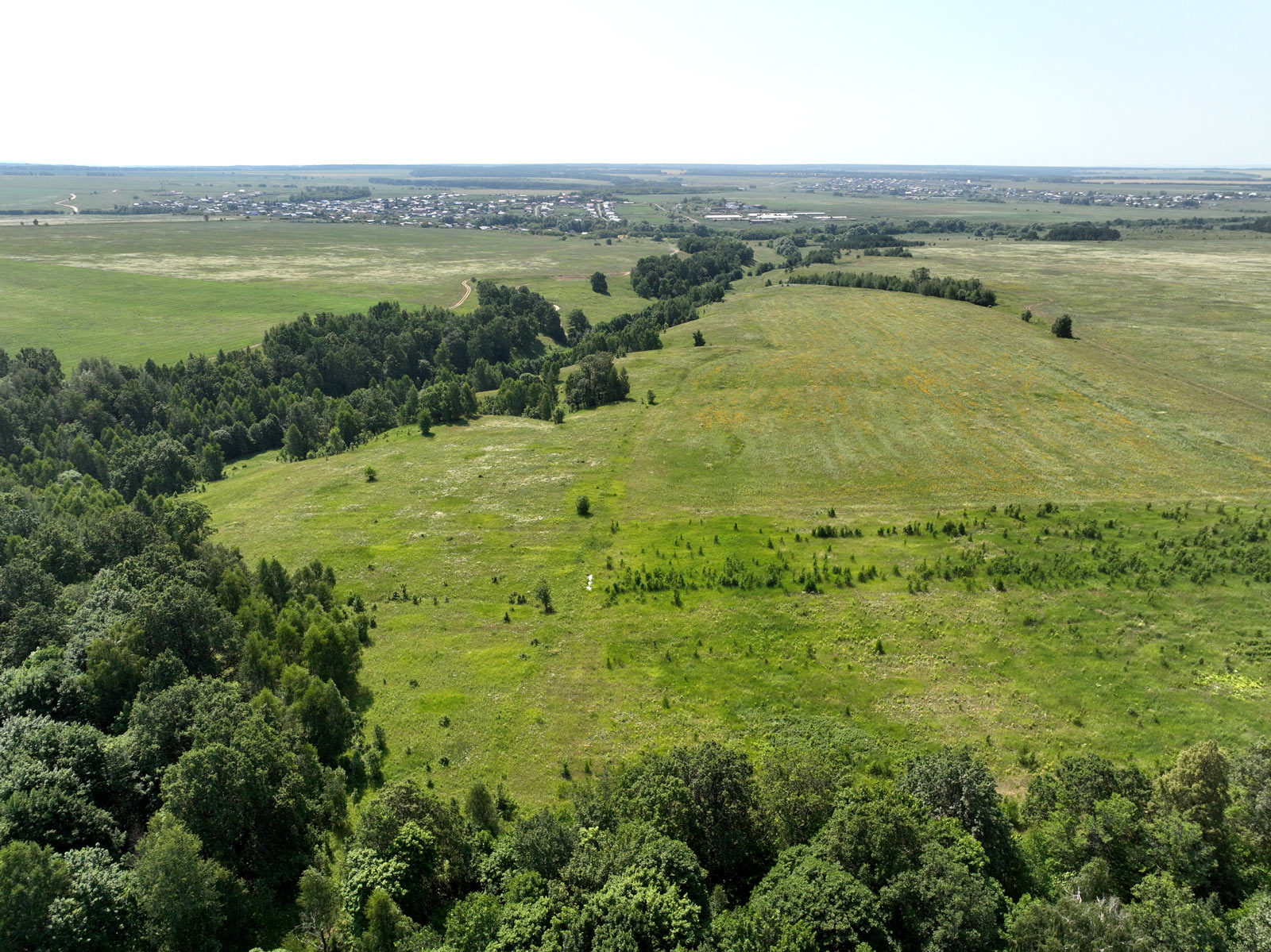 DJI_0966
